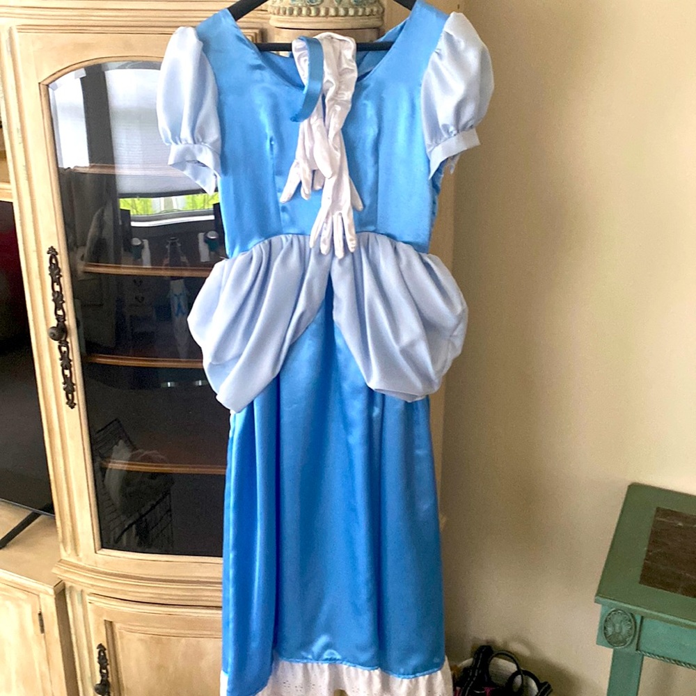 Cinderella costume handmade with headband and white gloves